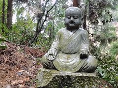 -武陵山森林公园