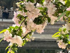 -元大都城垣遗址公园