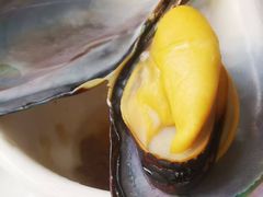 -众味海鲜大排档·活海鲜·潮汕味(南澳店)