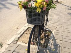 iphone_upload_pic-草场地艺术区
