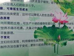 -阿育王寺素斋馆