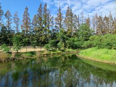 -前小桔亲子创意农场·草莓采摘·露营烧烤