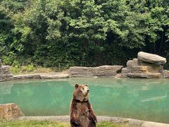 -杭州野生动物世界