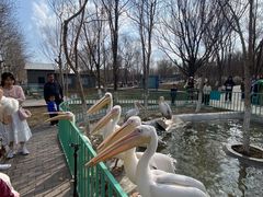 -水上乐园·欢乐世界