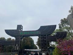 -溱湖国家湿地公园