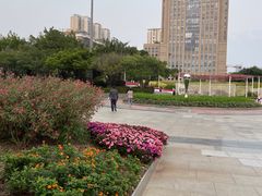 -深圳国际园林花卉博览园