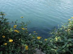 -靖西鹅泉风景区