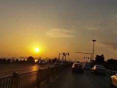 -合肥滨湖国家森林公园