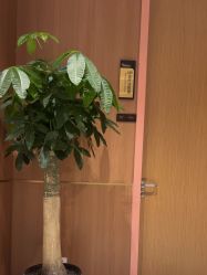 点击看大图 -深圳艺星医疗美容医院