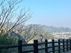 -万峰林风景区