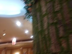 -汉城馆·烤肉火锅餐厅·韩国烤肉(河北云瑧世纪大饭店)