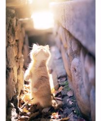 -Oasis Beauty水磨坊科技美肤中心