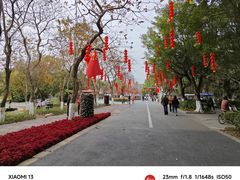 -番禺大夫山森林公园