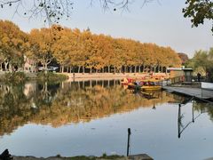 -泰州凤城河风景区-泰山公园