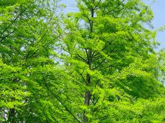 -苏州湾体育公园