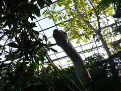 -呀路古热带植物园