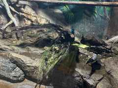-福州罗源湾海洋世界旅游区