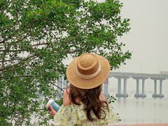 -宝安西湾红树林湿地公园