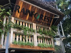 -Rainforest