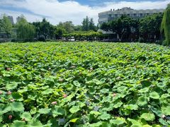 -西南交通大学(九里校区)