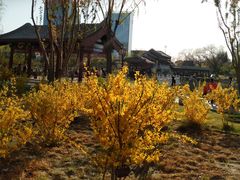 -西海子公园