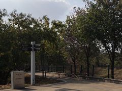 -广东花都湖国家湿地公园