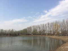 -东郊湿地公园
