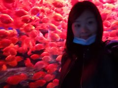 -多彩贵州城极地海洋世界