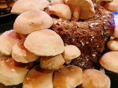 -捞神汤物料理(正大广场店)