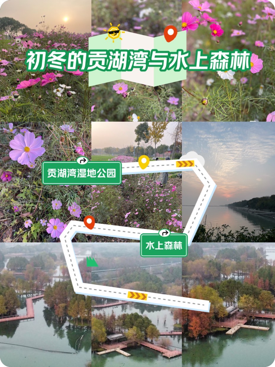 贡湖湾湿地公园导览图图片