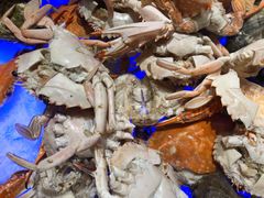 -威海香海豪生度假酒店·豪生咖啡厅