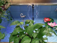 -同喜烤鸭店(光芒店)