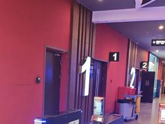 -卢米埃影城(长楹天街IMAX激光店)