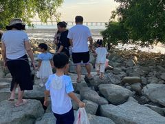 -宝安西湾红树林湿地公园