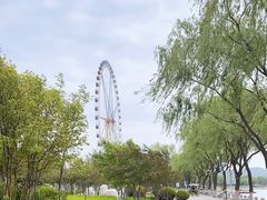 -济南国际园博园