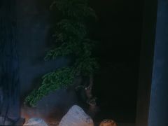 -双海潮·海鲜融合菜(如是海店)