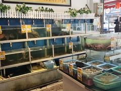 -鑫悦楼煎蟹·16年海鲜大排档
