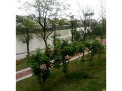 -江门古兜温泉小镇