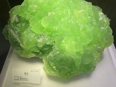 -湖南省地质博物馆