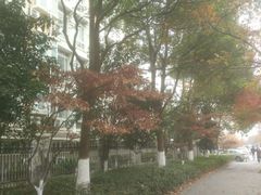 -杭州电子科技大学(下沙校区)