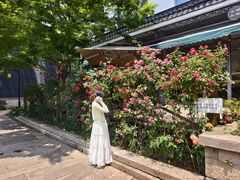 -东山雕花楼
