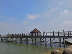 -瑶湖郊野森林公园
