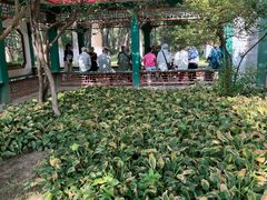 -西宁市人民公园(城西区)