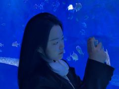 -波塞冬海底世界