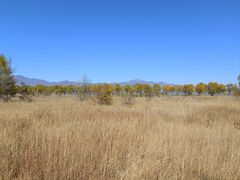 -野鸭湖国家湿地公园