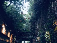 -院子餐厅·大锅菜·老杭帮(桥西直街店)