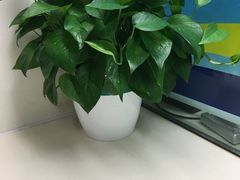-中国农业银行(上海翔殷支行)