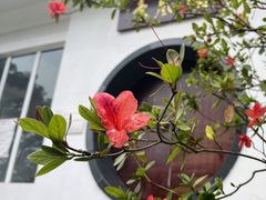 -梧桐山风景名胜区