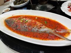 酱汁鲥鱼-好兄弟郭巨海鲜(天一阁店)