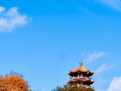 -深圳仙湖植物园